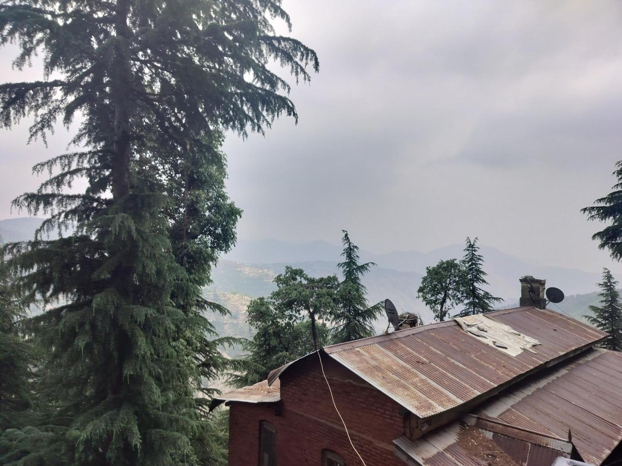 Tree Valley Homestay צ'איל מראה חיצוני תמונה