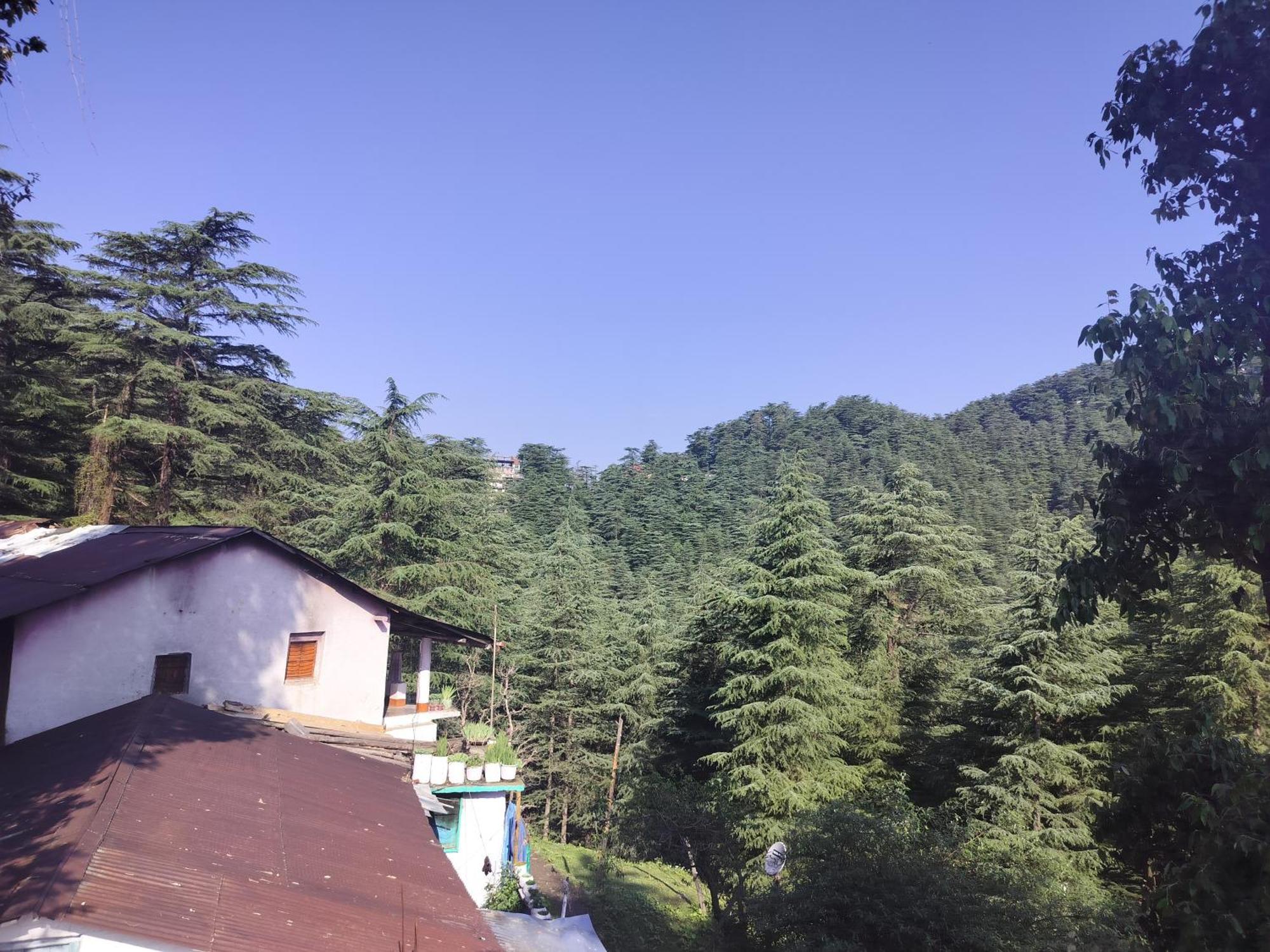 Tree Valley Homestay צ'איל מראה חיצוני תמונה