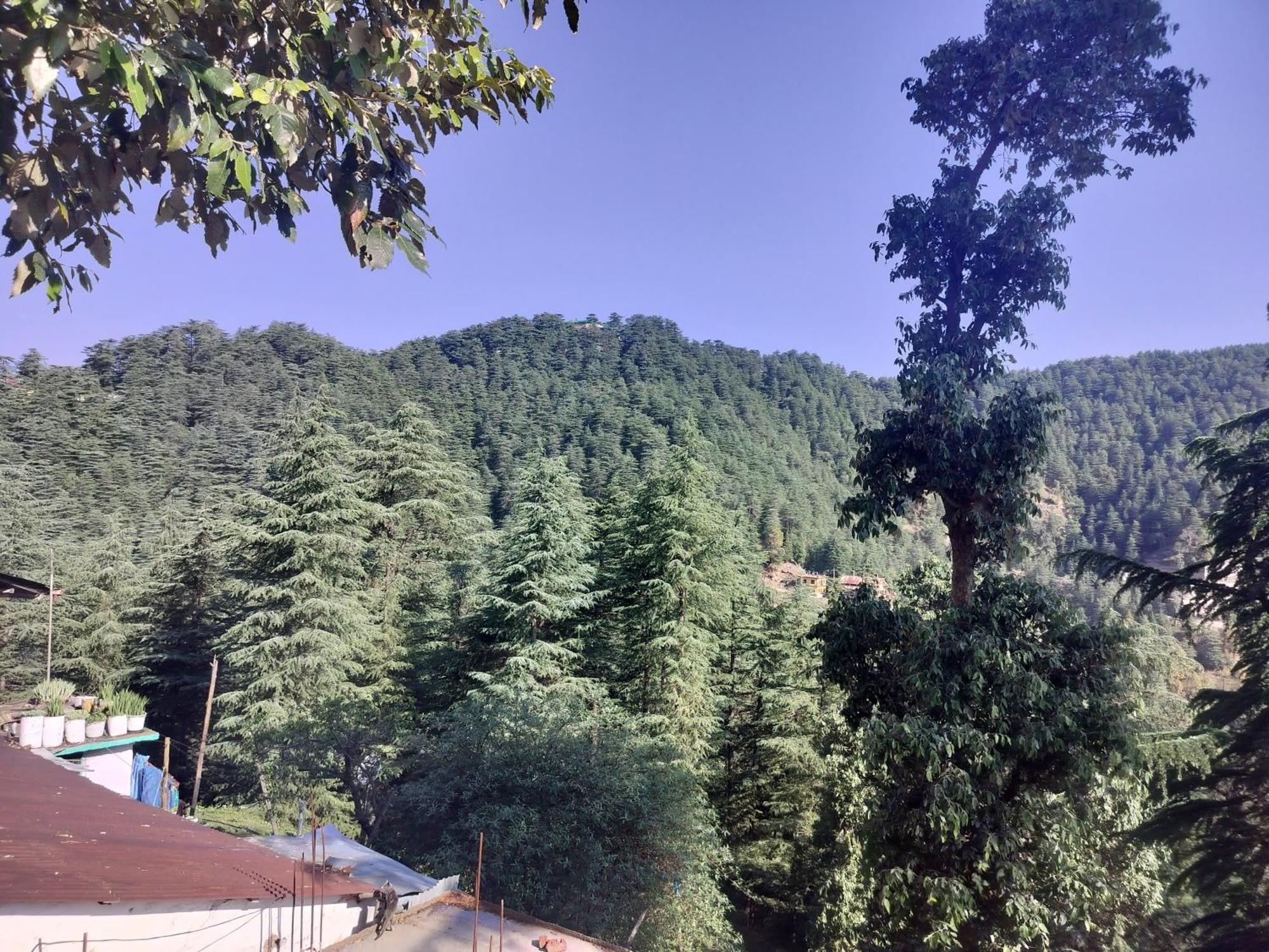 Tree Valley Homestay צ'איל מראה חיצוני תמונה