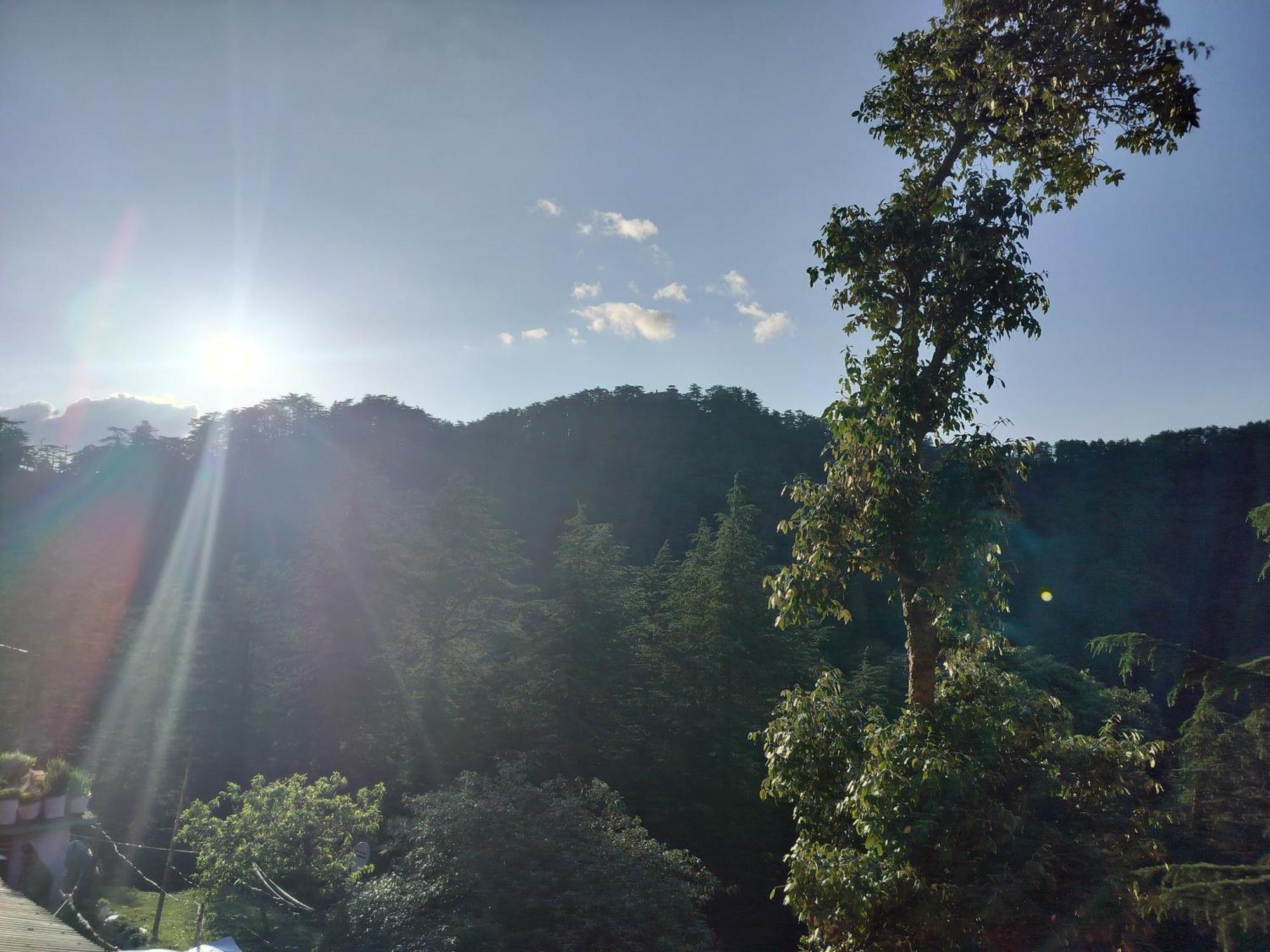 Tree Valley Homestay צ'איל מראה חיצוני תמונה