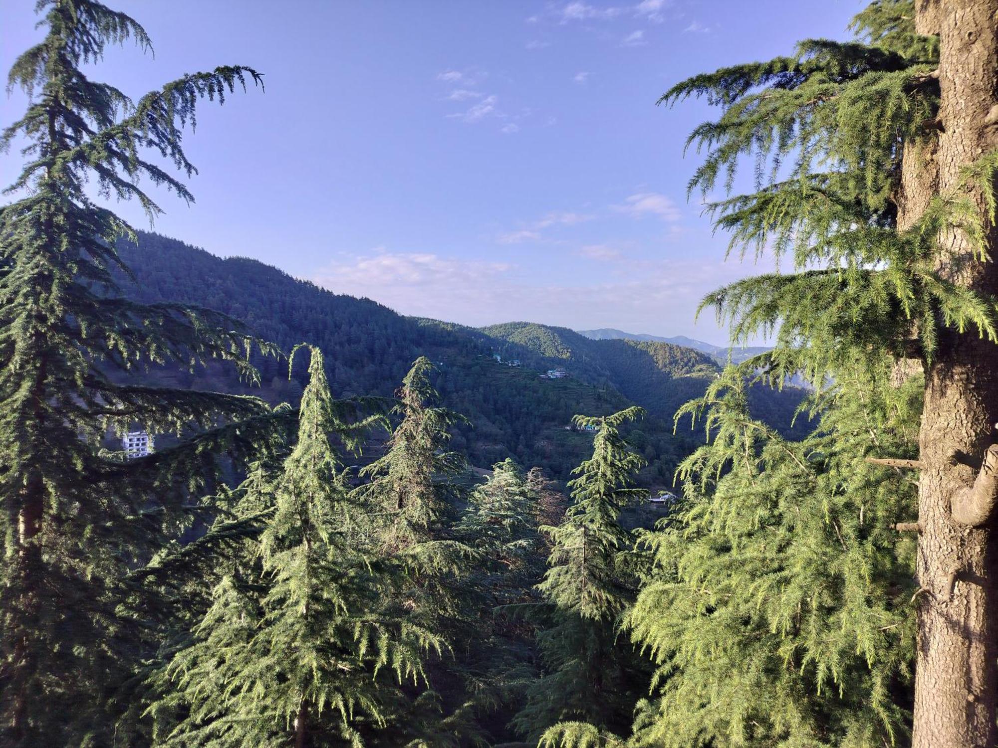 Tree Valley Homestay צ'איל מראה חיצוני תמונה